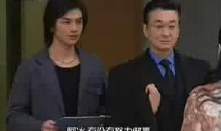 再续意难忘,共有多少集 意难忘第一部全集